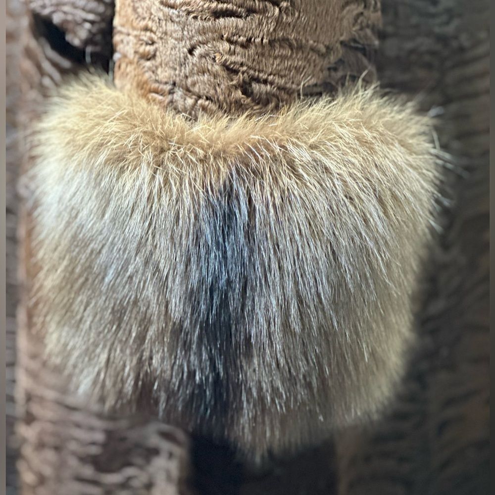Vintage Tigre Royal of Geneva Brown Swahari Broadtail Lamb & Sable Coat - Picture 5 of 16